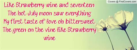 Strawberry Wine – Eine bittersüße Melodie der ersten Liebe und Sehnsucht